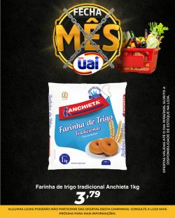 Feed-12