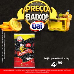 Feed-2