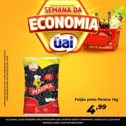 Feed-2