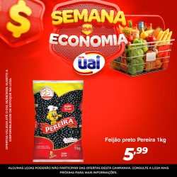 Feed-2